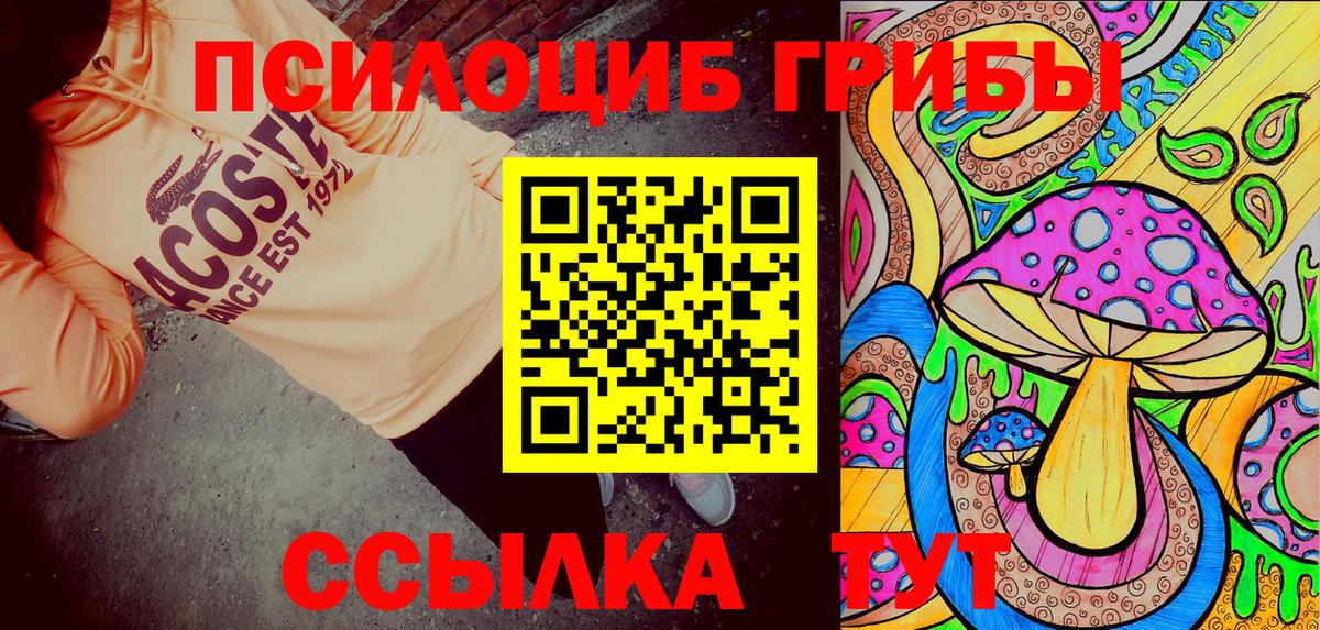 Псилоцибиновые грибы Можайск