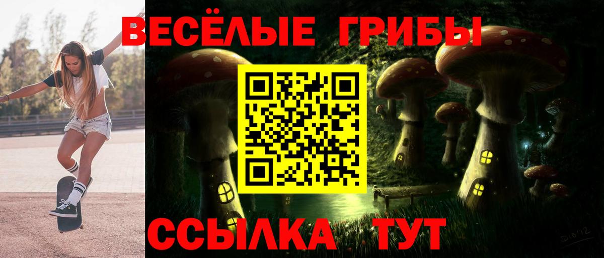 где купить наркотик  Вход с VPN  Галлюциногенные грибы Cubensis  Можайск  Псилоцибиновые грибы прущие грибы 